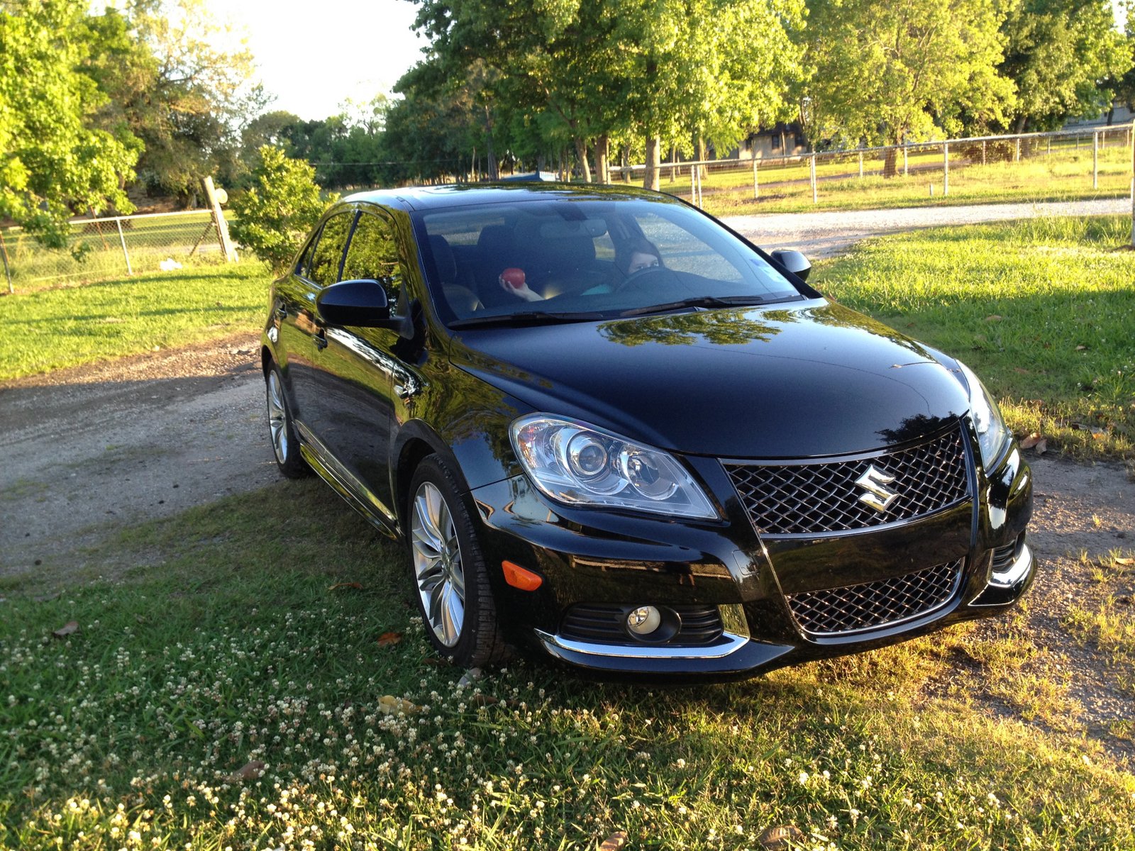 kizashi front.JPG