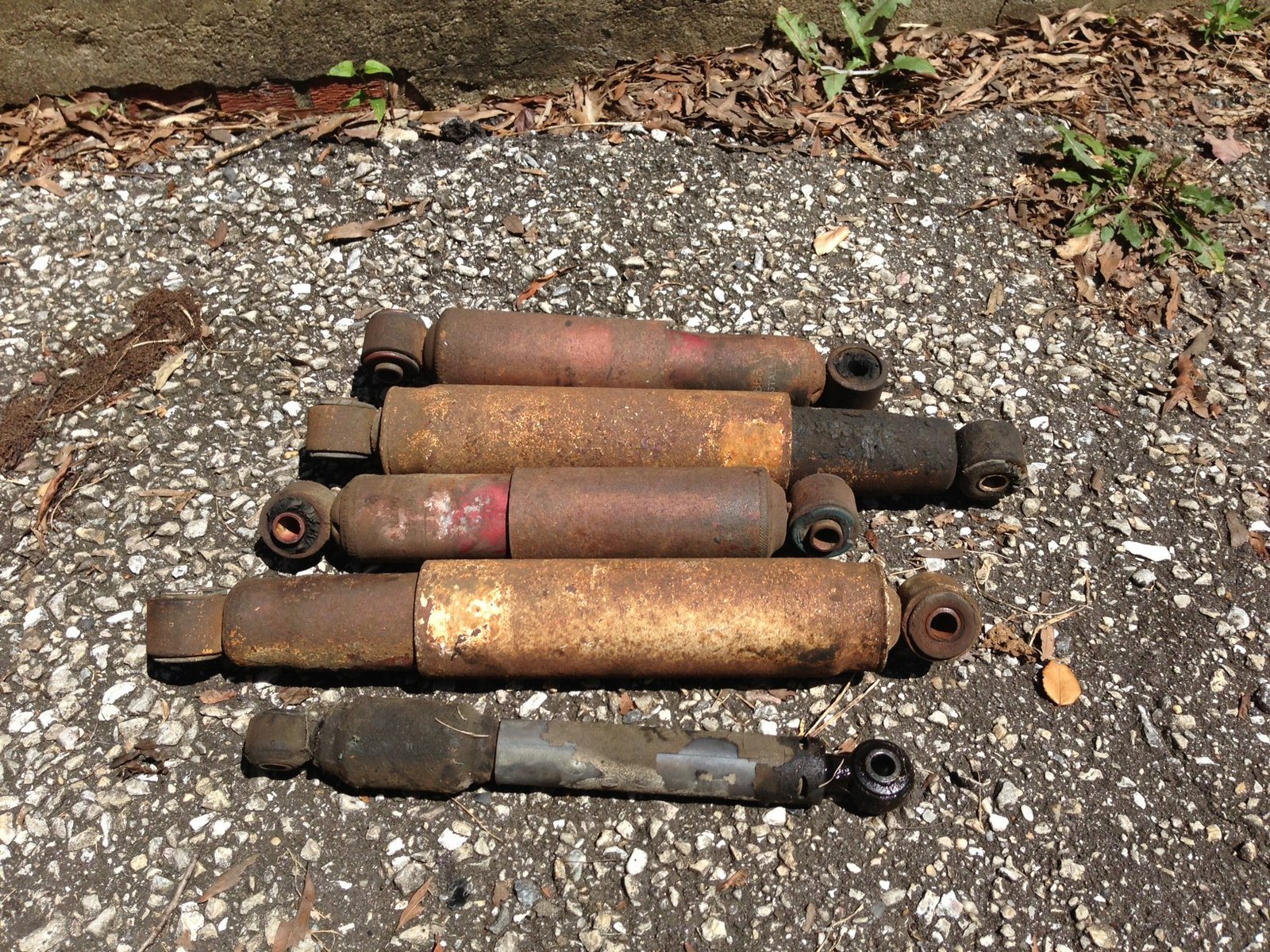 rusty shocks.jpeg