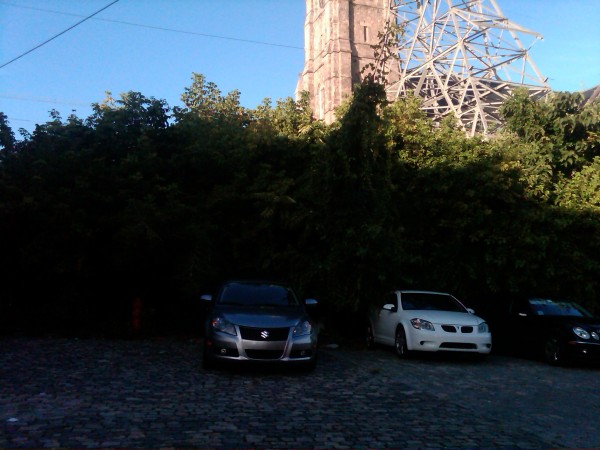 Hanging out in the shade.