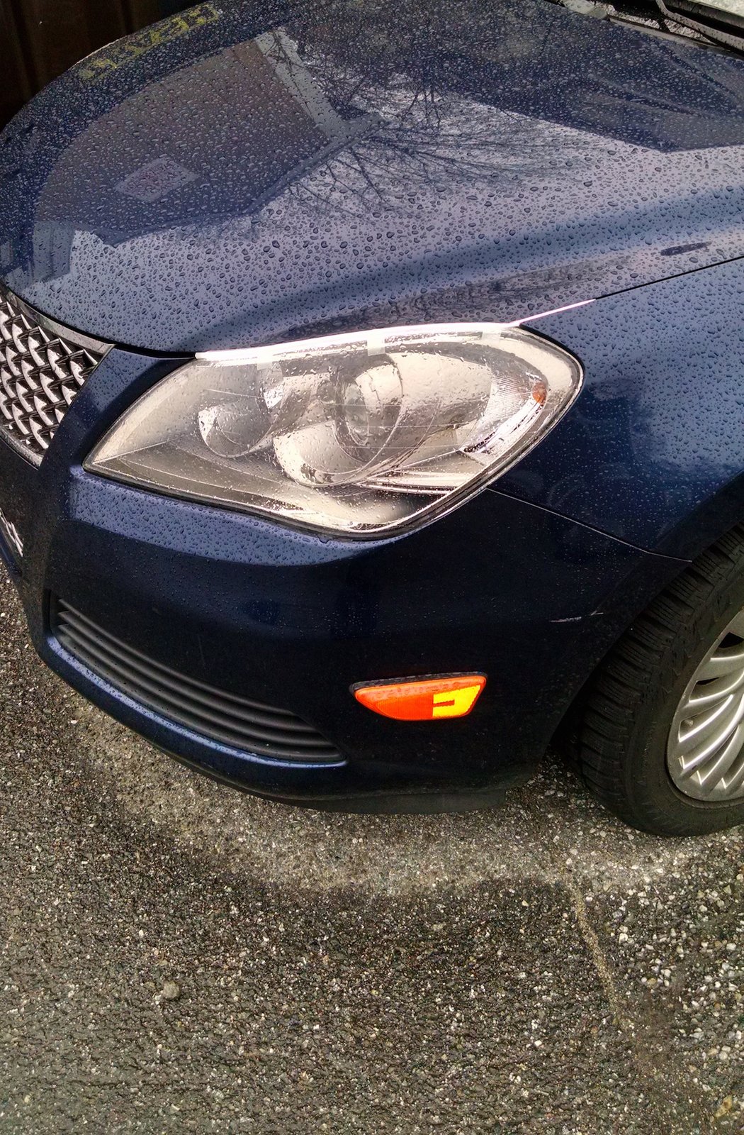 IMG_20141228_082148796_HDR.jpg
