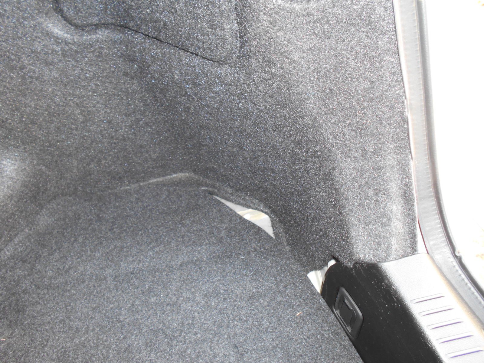 DSCN0736.JPG