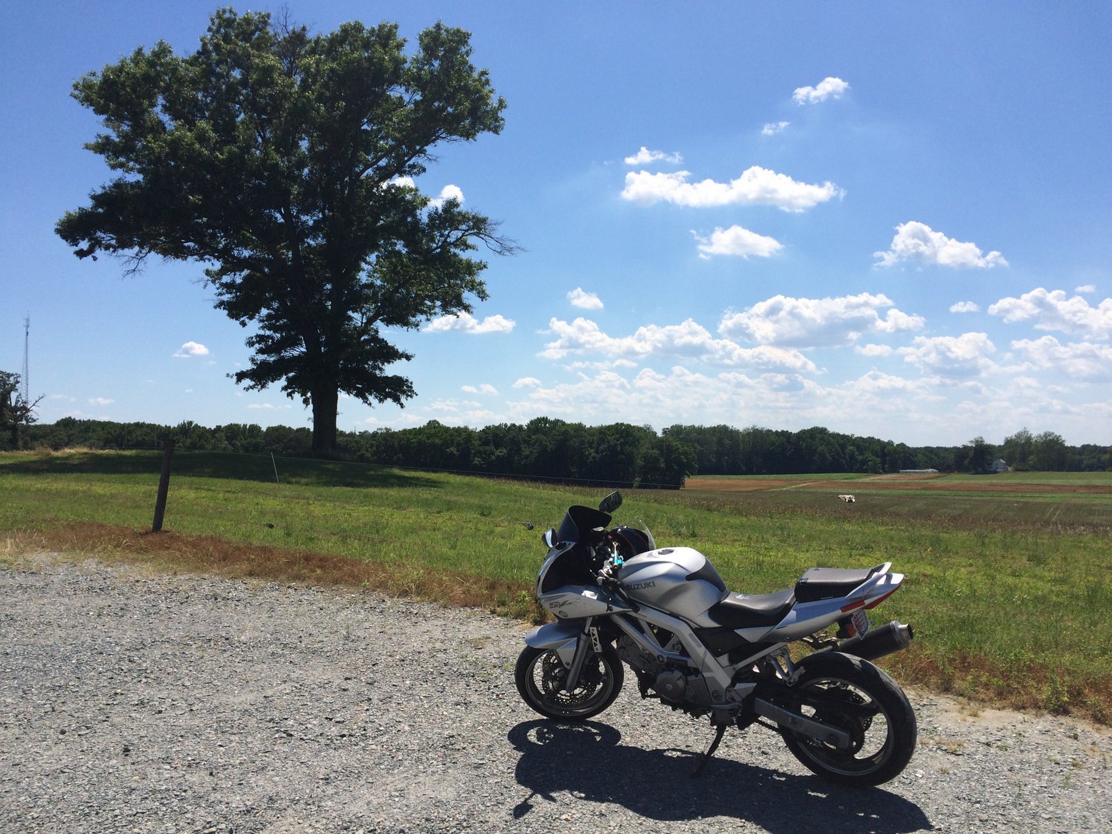 SV650S.jpg