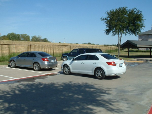 pic1.jpg