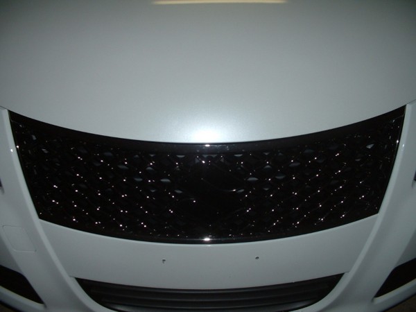 DSCF0004-2.jpg