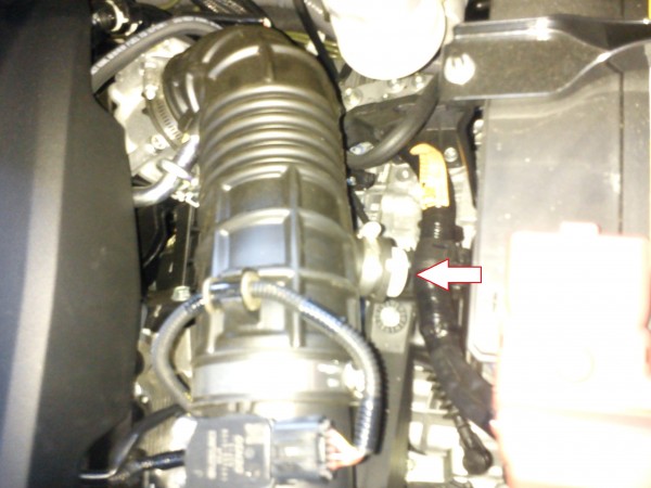 IMG_20120626_200747.jpg