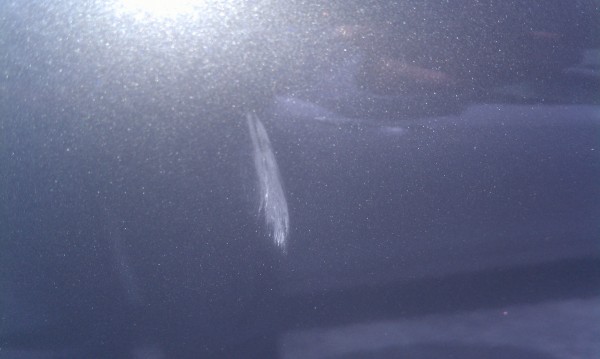 dent.jpg